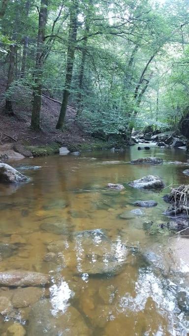 Chambre A La Campagne Saint Andre De Chalencon Εξωτερικό φωτογραφία
